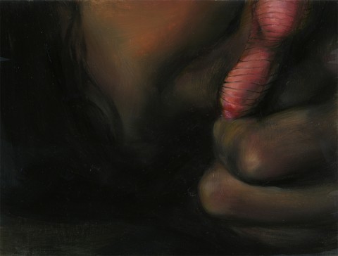 Veil No. 2, 2006, oil on linen, 6.25 x 8.5 inches