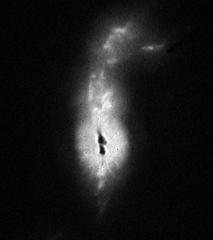 This view of the symbiotic star system R-Aquarii was taken in 1990, during the Hubble telescope's first year of operation. The two dark knots at the center of the image contain the binary star system itself, consisting of a red giant and a white dwarf star (the stars appear dark as the camera detector system was saturated by the very bright objects).